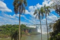 Beautiful scenery of Iguacu Iguazu falls and palm trees border of Brazil and Argentina Royalty Free Stock Photo