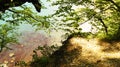 Beautiful scenery of the reefs in the azure waters of the black sea from the height of a hill. Royalty Free Stock Photo