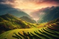 Beautiful scenery of rice fields in Vietnam. Beautiful landscapes of Vietnam. Generative AI Royalty Free Stock Photo