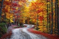 Beautiful scenery of a road in a forest with a lot of colorful autumn trees