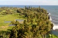 Beautiful scenery on the road to Hana Royalty Free Stock Photo