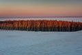 Beautiful scenery of sand dunes in the Slowinski National Park at sunset, Leba. Poland Royalty Free Stock Photo