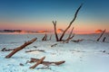 Beautiful scenery of sand dunes in the Slowinski National Park at sunset, Leba. Poland Royalty Free Stock Photo