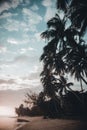 Beautiful scenery of the sandy beach of Moorea island during a cloudy sunset in French Polynesia