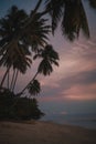 Beautiful scenery of the sandy beach of Moorea island during a cloudy sunset in French Polynesia