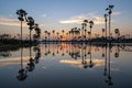 Beautiful scenery silhouette Sugar Palm Tree on the rice field during twilight sky Royalty Free Stock Photo