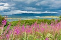 Landscape Scotland skye island Royalty Free Stock Photo