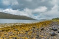 Landscape Scotland skye island Royalty Free Stock Photo