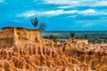 Beautiful scenery of the Tatacoa Desert, Colombia with exotic wild plants on the red rocks Royalty Free Stock Photo