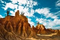 Beautiful scenery of the Tatacoa Desert, Colombia with exotic wild plants on the red rocks Royalty Free Stock Photo