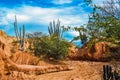 Beautiful scenery of the Tatacoa Desert, Colombia with exotic wild plants on the red rocks Royalty Free Stock Photo