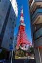 The beautiful scenery of Tokyo Tower with autumn colours in the blue sky Royalty Free Stock Photo