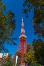 The beautiful scenery of Tokyo Tower with autumn colours in the blue sky Royalty Free Stock Photo