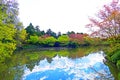 Traditional Japanese Garden at Ryoanji Temple in Kyoto, Japan Royalty Free Stock Photo