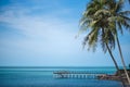 The beautiful scenery of tropical wooden bridge in the sea with a coconut palm tree in Khanom, Nakhon Si Thammarat, Thailand