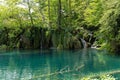 Beautiful scenery of waterfalls with vegetation and a lake at Plitvice Lakes National Park Royalty Free Stock Photo