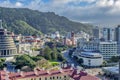 Beautiful scenery of Wellington city buildings surrounded by tall green trees in the morning