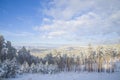 Beautiful scenery of a winter forest. Royalty Free Stock Photo