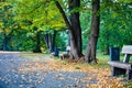 Beautiful scenery of wooden benches under trees and fall leaves on ground in a park Royalty Free Stock Photo