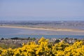 Beautiful scenic aerial-like bright view of yellow gorse Ulex, Irish sea, beach, Dublin bay, house roofs seen from Howth, Dublin Royalty Free Stock Photo