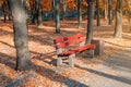 Beautiful scenic alley with benches between trees and golden colored foliage lush at city park. Walking path in colorful fall Royalty Free Stock Photo