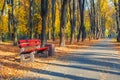 Beautiful scenic alley with benches between trees and golden colored foliage lush at city park. Walking path in colorful fall Royalty Free Stock Photo