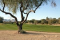 Beautiful Scenic Arizona Golf Course Resort