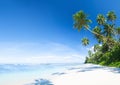 Beautiful Scenic Beach with Palm Tree