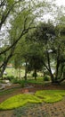Beautiful scenic garden of Kodaikanal Bryant Park