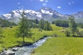 scenic ladscape in alpine mountain snowy and greenery meadow with a little river Royalty Free Stock Photo