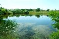 Beautiful scenic lake in the morning Ukraine, quiet peaceful place, nature reserve