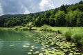 Beautiful scenic lake podpesko in slovenia