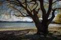 beautiful scenic of lake wanaka most popular traveling destination in southland of new zealand Royalty Free Stock Photo