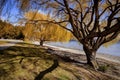 Beautiful scenic of lake wanaka south land new zealand