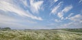 Beautiful scenic landscape view of lush green grassy meadow with white fluffy clouds in blue sky. Cloudscape of farm Royalty Free Stock Photo