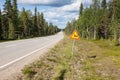 Beautiful scenic road in Norway. Typical warning road sign