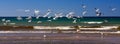 Beautiful scenic seascape of Black Sea by Anapa, Russia with flock of sea gulls flying and waves breaking on sandy seashore. White