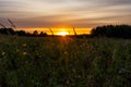 Beautiful scenic sunset with rays of sun shining through clouds. Sun sets over the horizon closeup. Beauty of nature Royalty Free Stock Photo