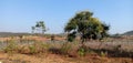 A SCENIC VIEW FROM A BEAUTIFUL NURSERY