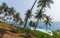 beautiful scenic view of coastline with palm trees, sri lanka, mirissa Royalty Free Stock Photo