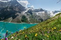 Beautiful scenic view of mountain lake and wild flower.Hike to the Mooserboden dam in Austrian Alps.Quiet relaxation outdoors.