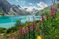 Beautiful scenic view of mountain lake and wild flower.Hike to the Mooserboden dam in Austrian Alps.Quiet relaxation outdoors.