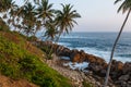 beautiful scenic view of palm trees om coastline and blue sky, sri Royalty Free Stock Photo