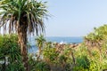 beautiful scenic view of palm trees om coastline and blue sky, sri Royalty Free Stock Photo