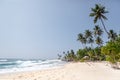 beautiful scenic view of palm trees om coastline and blue sky, sri Royalty Free Stock Photo