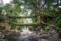 The beautiful scenic waterfall in front of famous root bridge in meghalaya