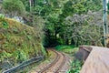 Beautiful scenics of railway through Alishan forest