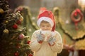 Beautiful school child, boy, holding Christmas mug, drinking tea