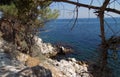 beautiful sea coast of white massive stones and trees over the blue sea