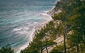 Beautiful sea landscape, pine trees grow on the rocky coast of the Black Sea coast Royalty Free Stock Photo